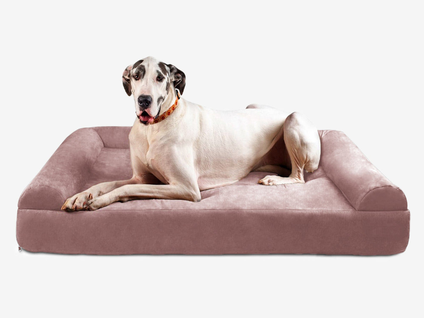 Cover | Original Bed — Limited Edition Colors