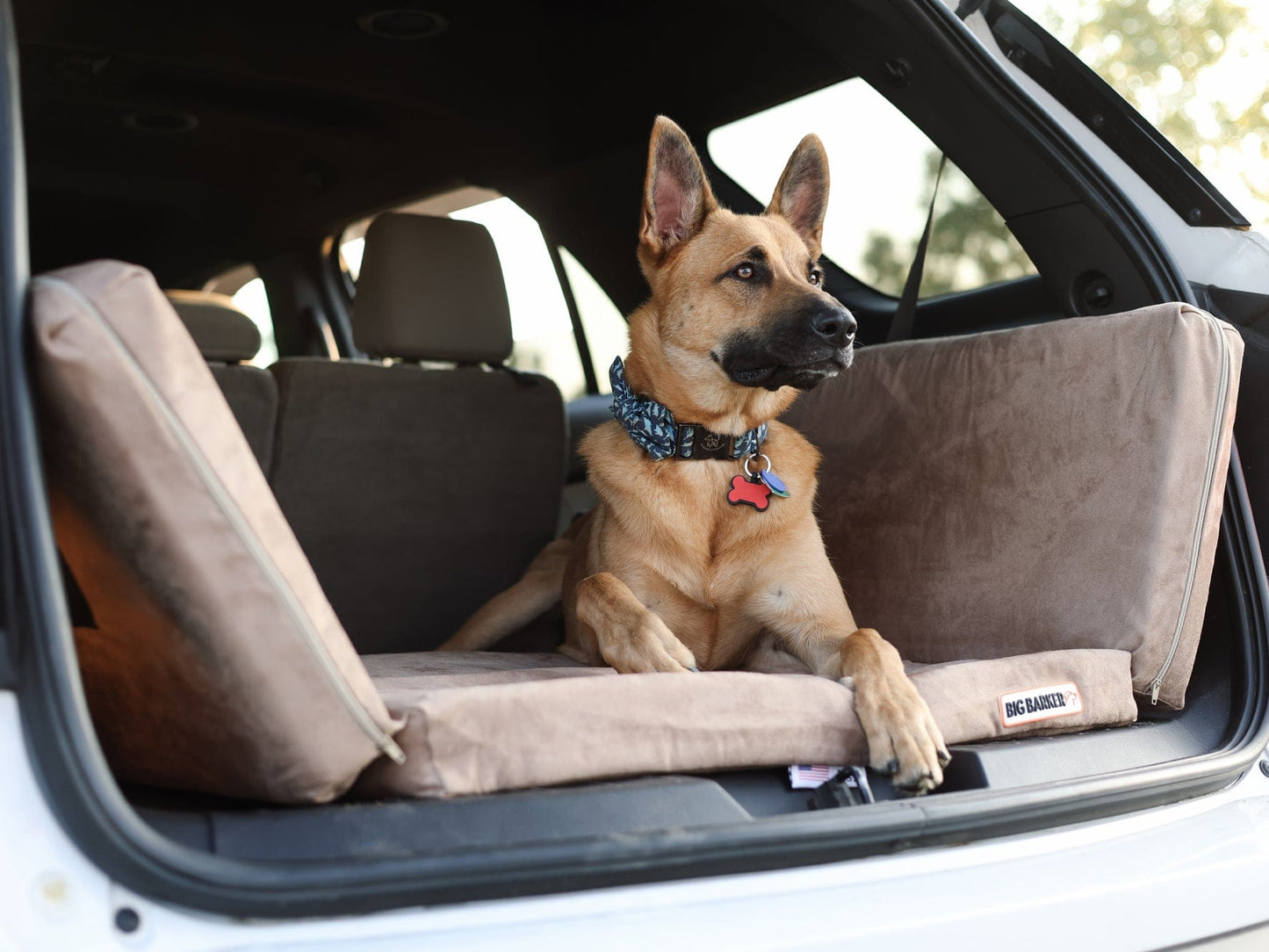 Fold-N-Go Travel Dog Bed